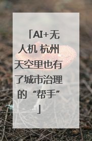 AI+无人机 杭州天空里也有了城市治理的“帮手”