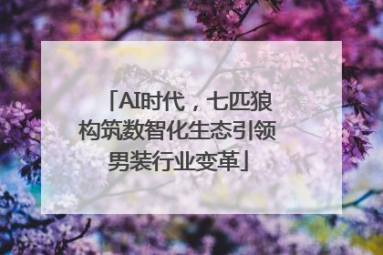 AI时代，七匹狼构筑数智化生态引领男装行业变革