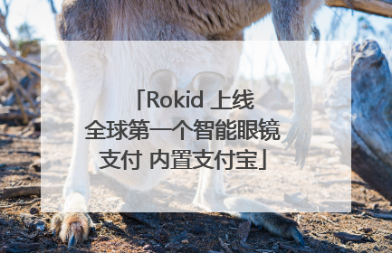 Rokid 上线全球第一个智能眼镜支付 内置支付宝